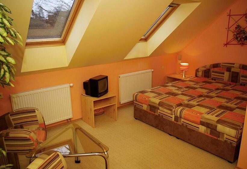 غرفة قياسية, V Aleji   Ubytování V Soukromí