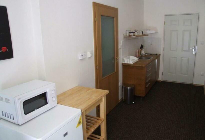 חדר סטודיו סטנדרד, Pension Mikulov