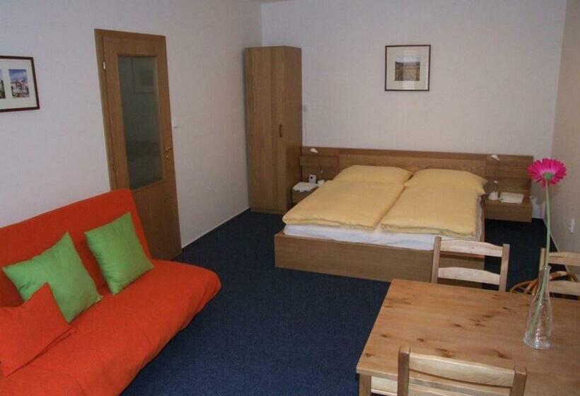 חדר סטודיו סטנדרד, Pension Mikulov