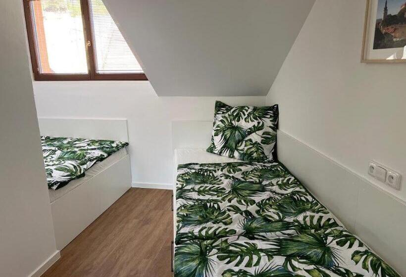 דירת חדר, Pension Mikulov