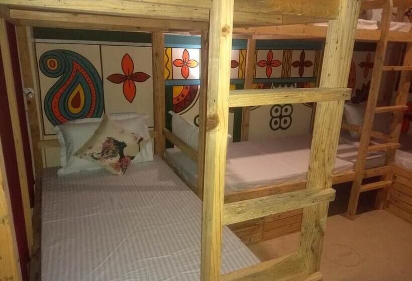 מיטה בחדר משותף, El Profesor Mcleodganj