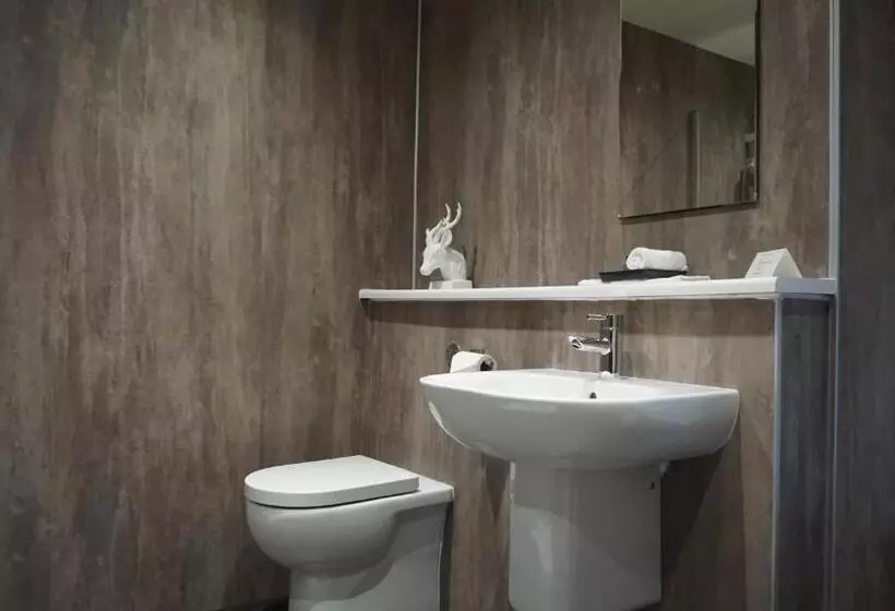 اتاق کلاسیک با تخت دونفره, Ivybank Lodge