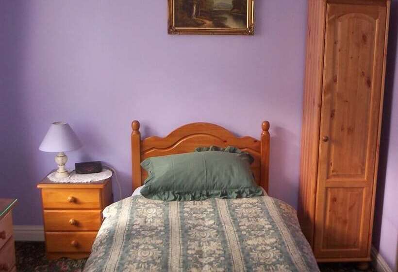 标准单人间, Ye Olde Station Guest House Birmingham, Shustoke