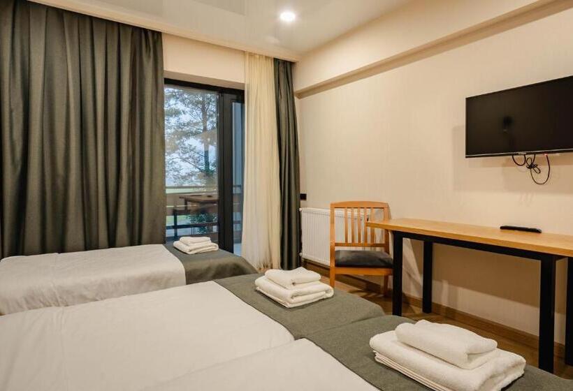 اتاق استاندارد سه نفره, Bakuriani Inn