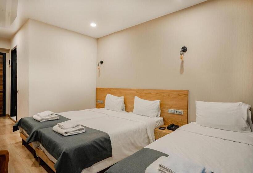 اتاق استاندارد سه نفره, Bakuriani Inn