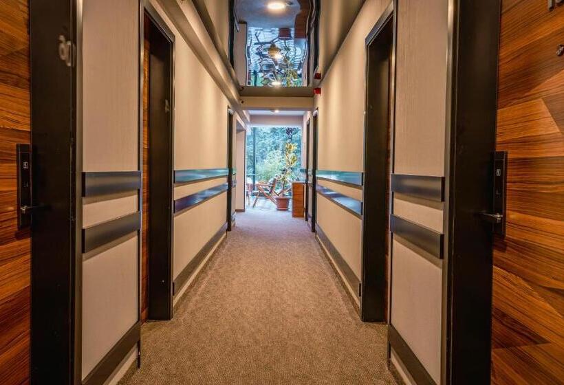 اتاق اکونومی, Bakuriani Inn