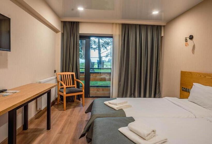 اتاق اکونومی, Bakuriani Inn