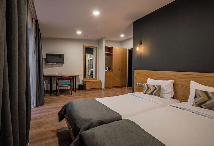 اتاق استاندارد, Bakuriani Inn