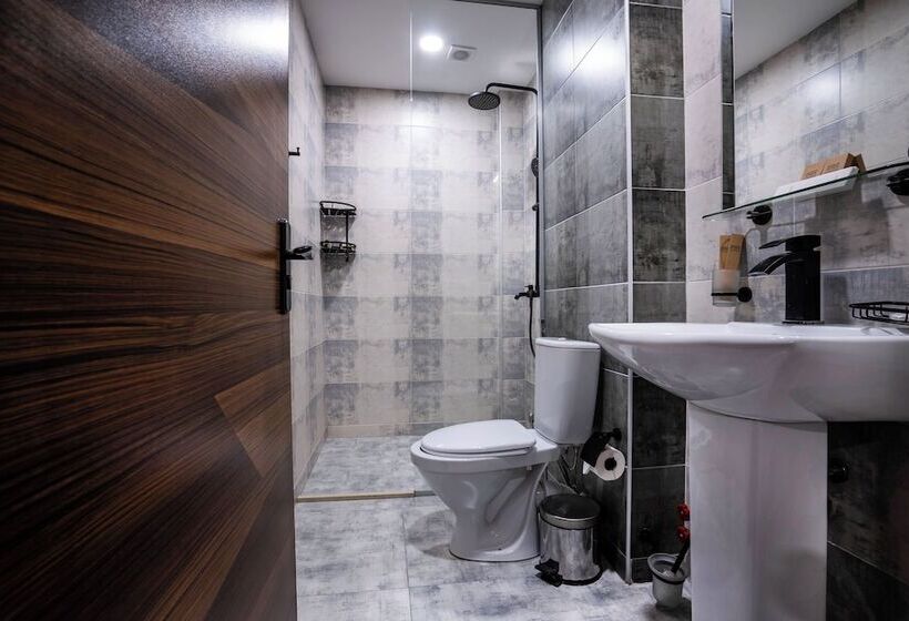 اتاق استاندارد, Bakuriani Inn