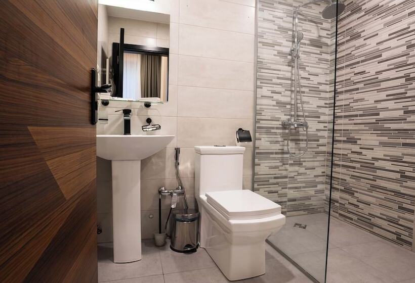 اتاق استاندارد سه نفره, Bakuriani Inn