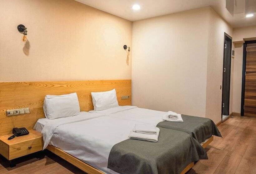 اتاق اکونومی, Bakuriani Inn