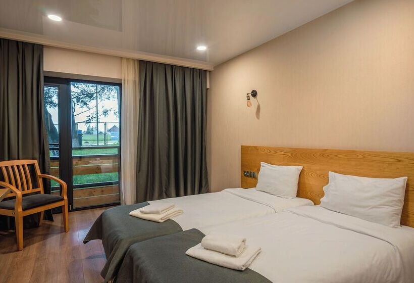 اتاق اکونومی, Bakuriani Inn