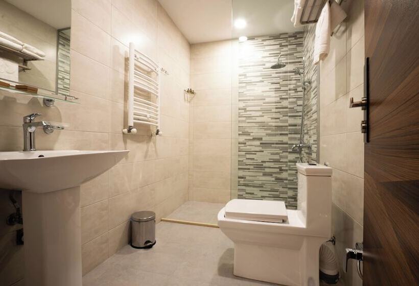 آپارتمان سوپریور 1 خوابه, Bakuriani Inn