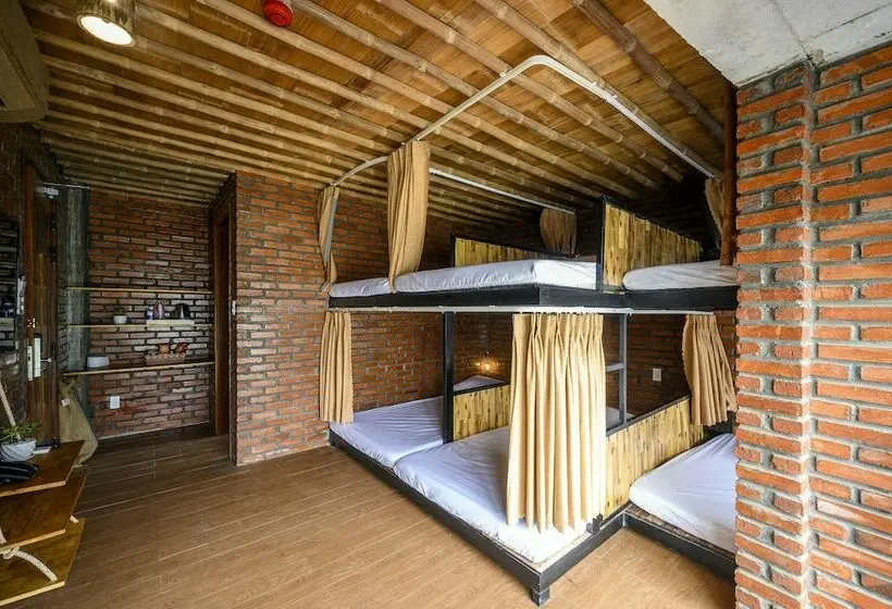 تختخواب در اتاق مشترک, Mira Bai Xep Quy Nhon   The Hidden Jewel   Hostel