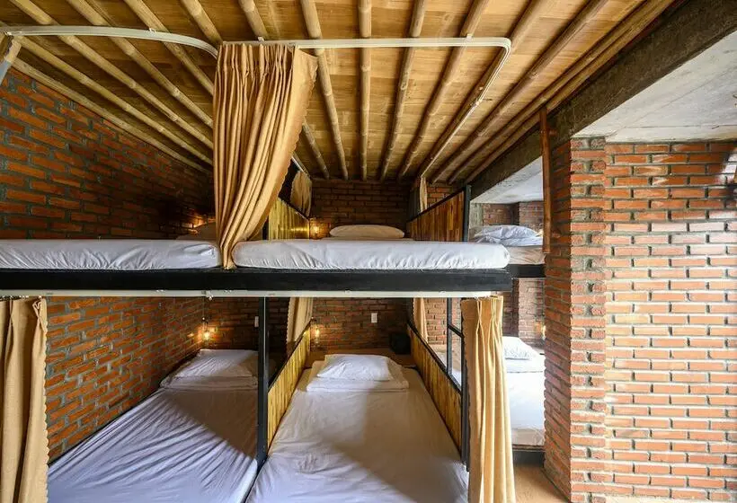 تختخواب در اتاق مشترک, Mira Bai Xep Quy Nhon   The Hidden Jewel   Hostel