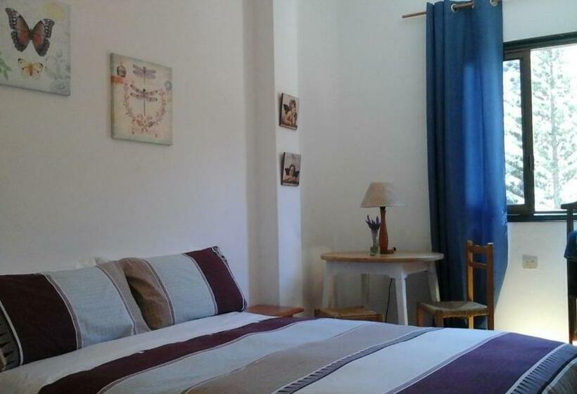 スタンダードルーム, Hostal Casa Amaya