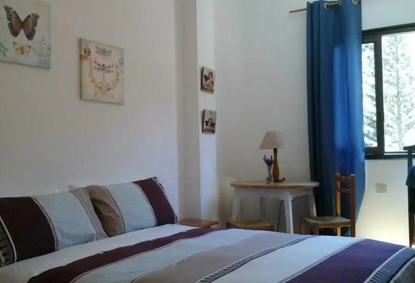スタンダードルーム, Hostal Casa Amaya