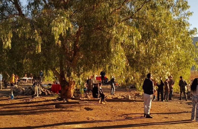 جناح مطلّ علي الجبل, Alto Ciprés