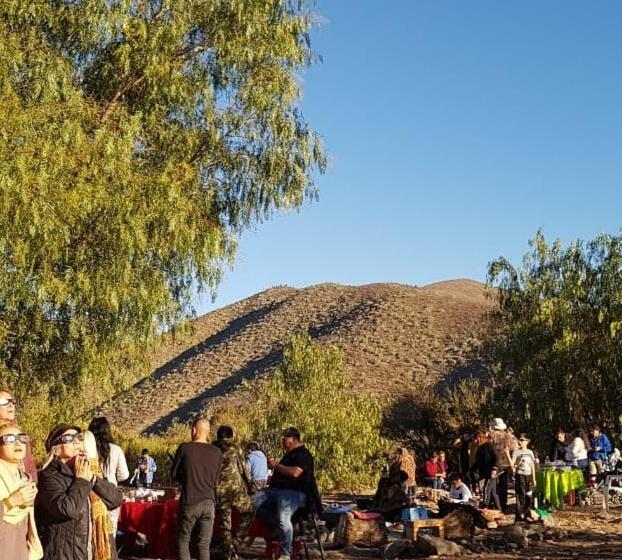 جناح مطلّ علي الجبل, Alto Ciprés