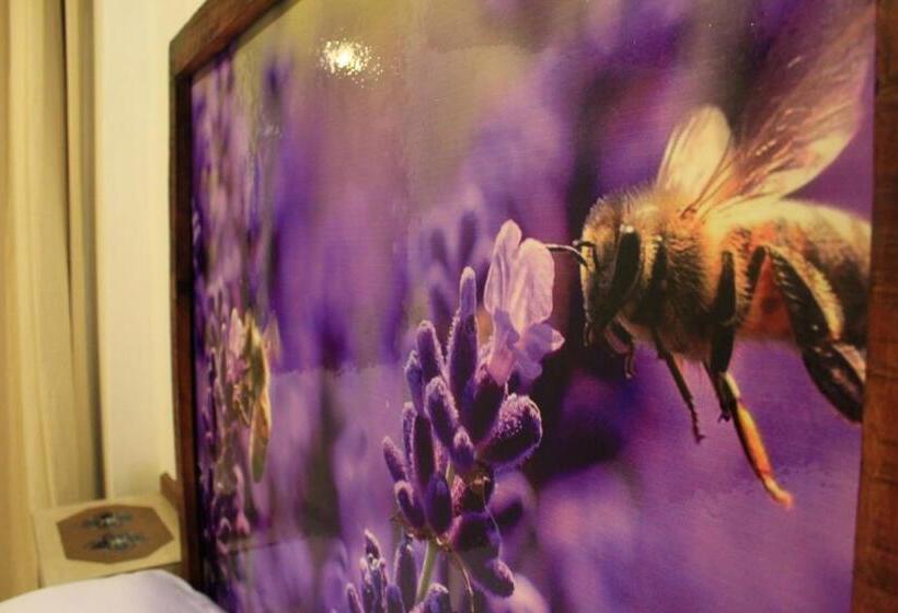 Quarto deluxe, Atzalan