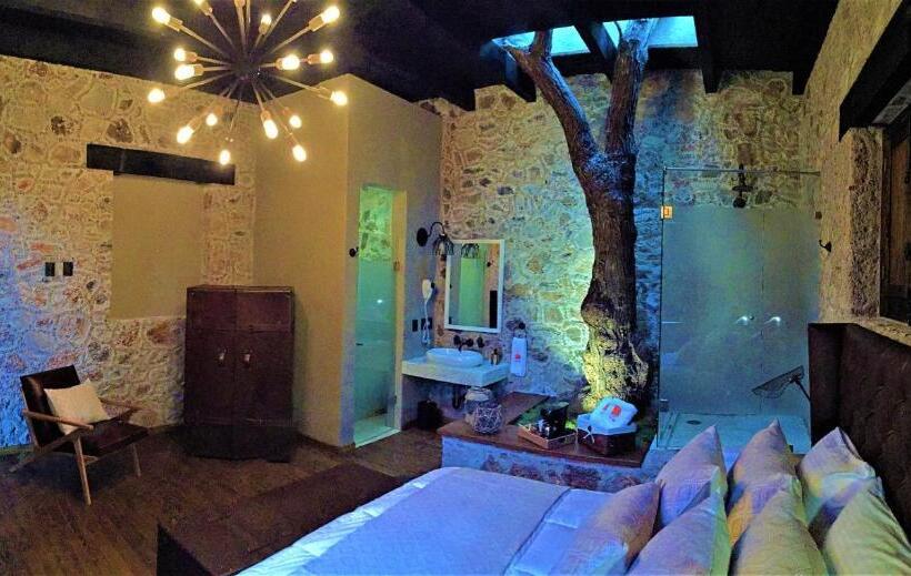 标准间, Hacienda Tovares