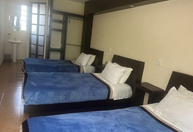 家庭间, Real Campestre Tepetoci