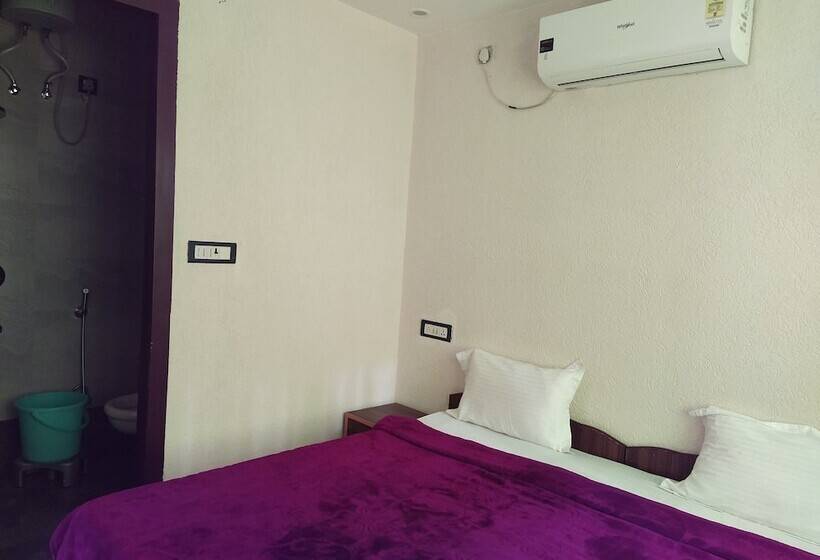 غرفة قياسية, The Raja Palace