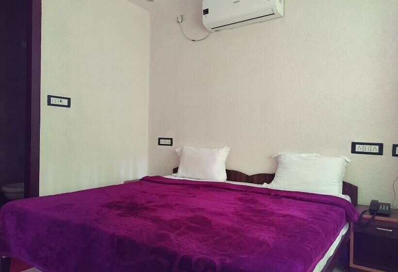 غرفة قياسية, The Raja Palace