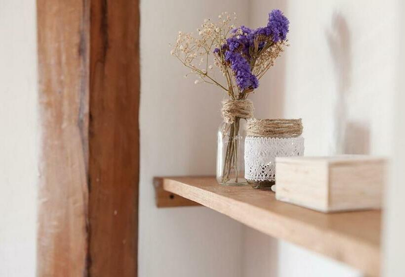 اتاق خانوادگی, Ganso & Búho