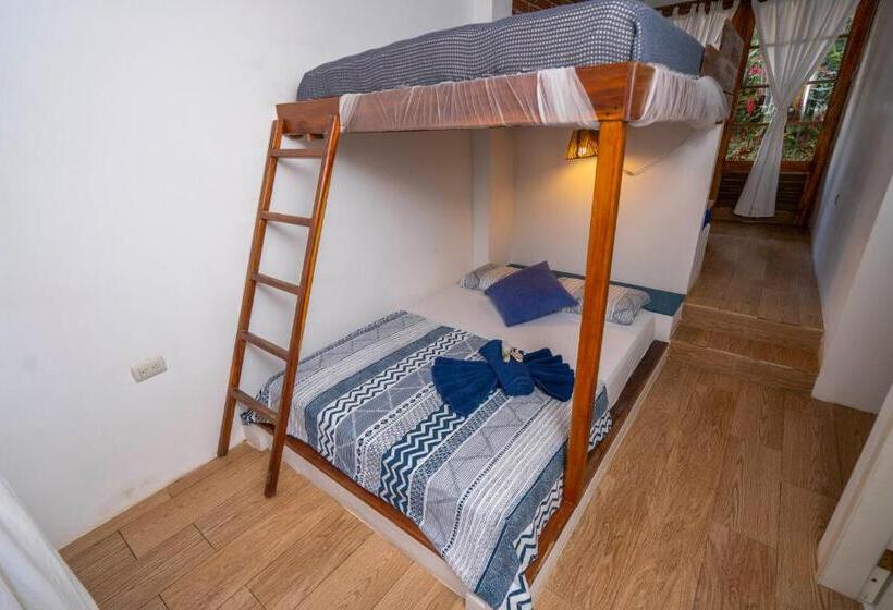 اتاق خانوادگی, Ganso & Búho