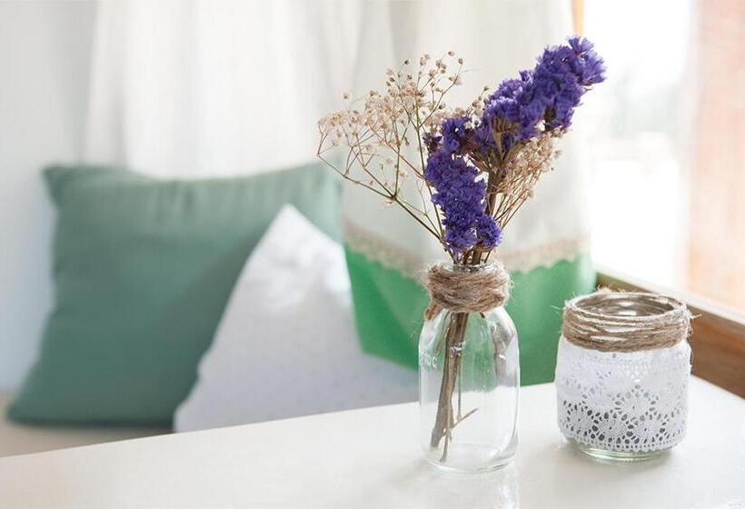 اتاق استاندارد, Ganso & Búho