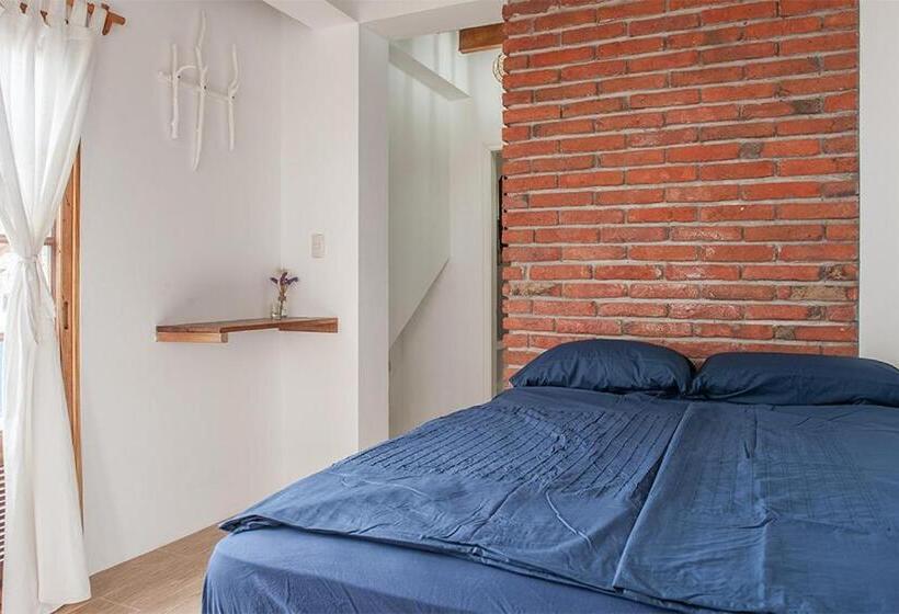 اتاق استاندارد, Ganso & Búho