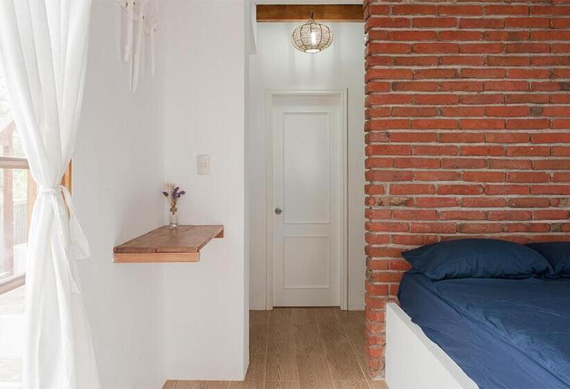 اتاق استاندارد, Ganso & Búho