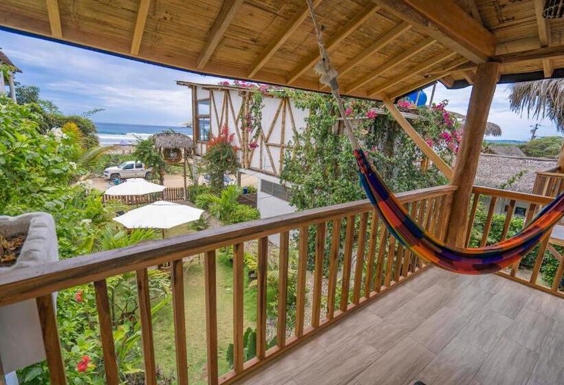 اتاق استاندارد با چشم‌انداز دریا, Ganso & Búho