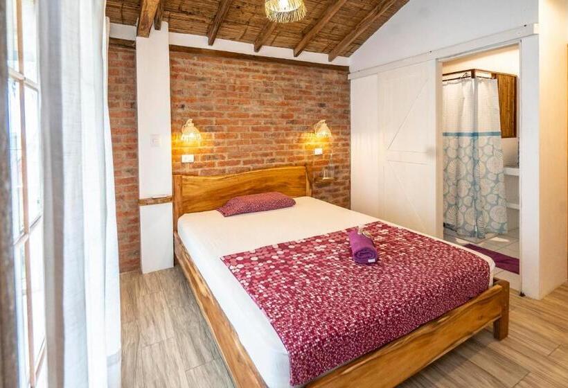 اتاق استاندارد با چشم‌انداز دریا, Ganso & Búho