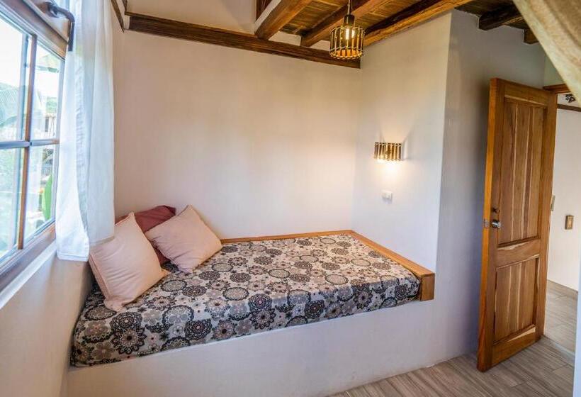 Family Suite, Ganso & Búho