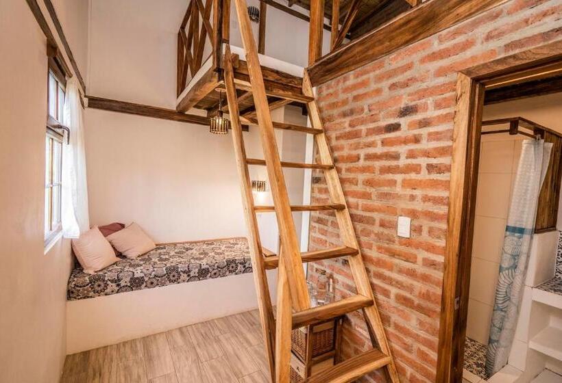 Family Suite, Ganso & Búho