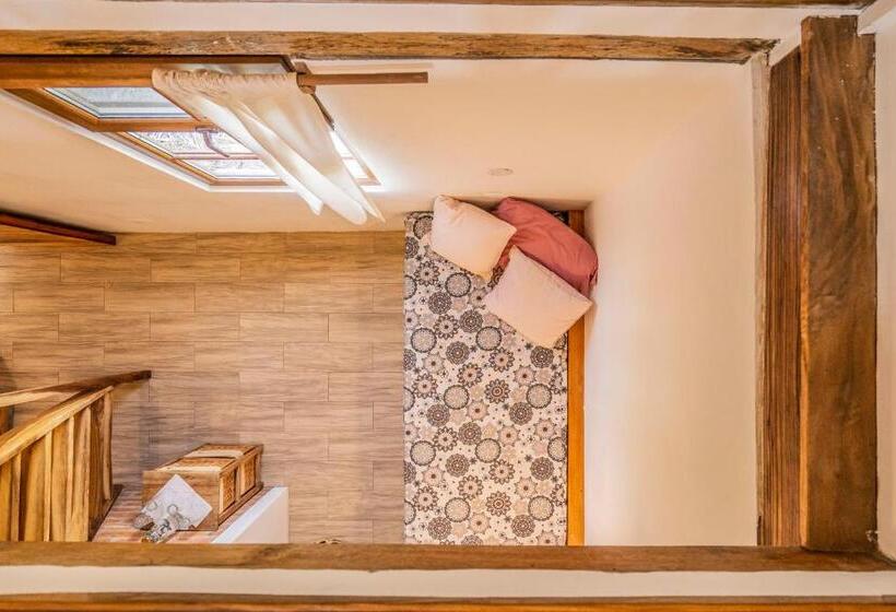 سوییت خانوادگی, Ganso & Búho