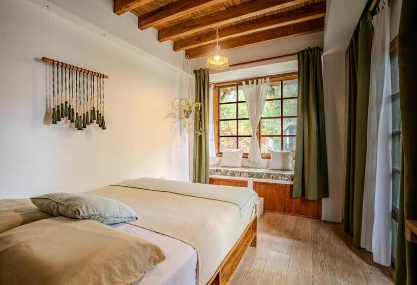 اتاق استاندارد, Ganso & Búho