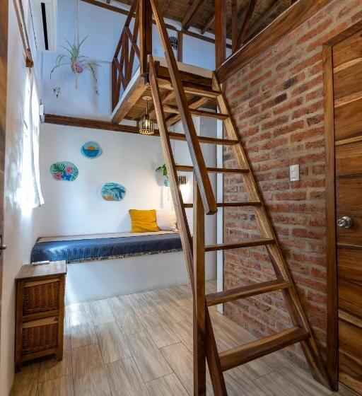 سوییت خانوادگی, Ganso & Búho