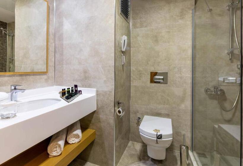 חדר דלוקס, Anemon Kent Diyarbakır