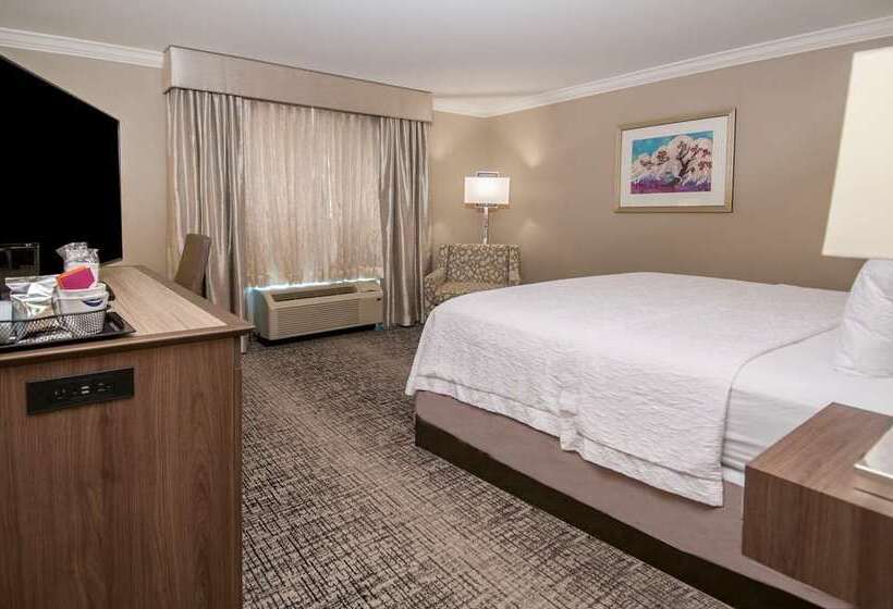 غرفة قياسية, Hampton Inn Salem Boston