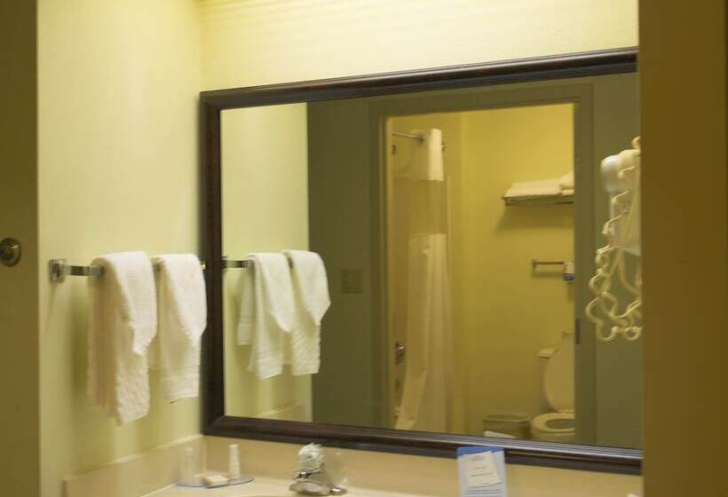 Номер Стандарт, Baymont By Wyndham Mason