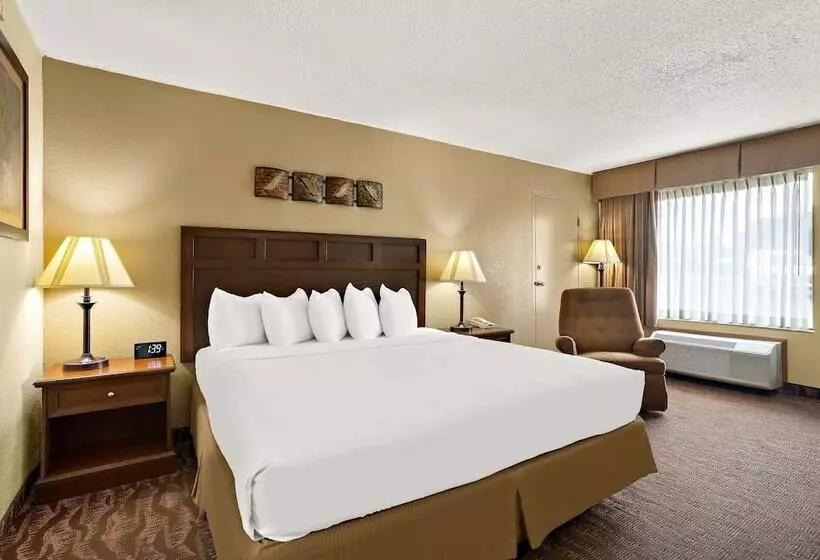 سوییت, Best Western Center Pointe Inn