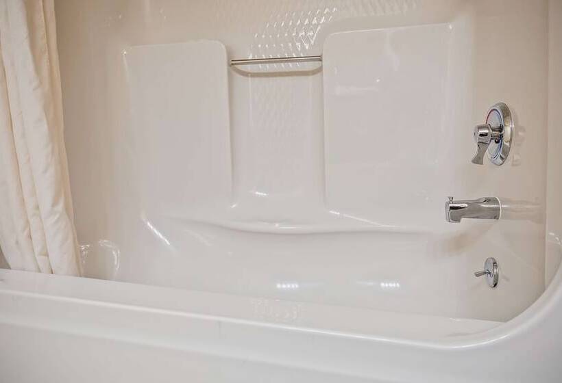 غرفه قياسيه سريرين مزدوجين, Best Western Center Pointe Inn