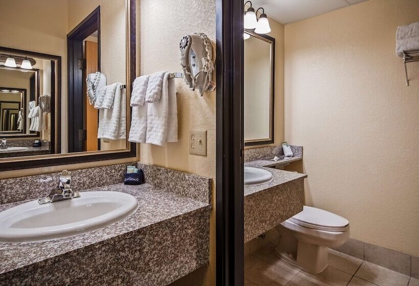 غرفه قياسيه سريرين مزدوجين, Best Western Center Pointe Inn