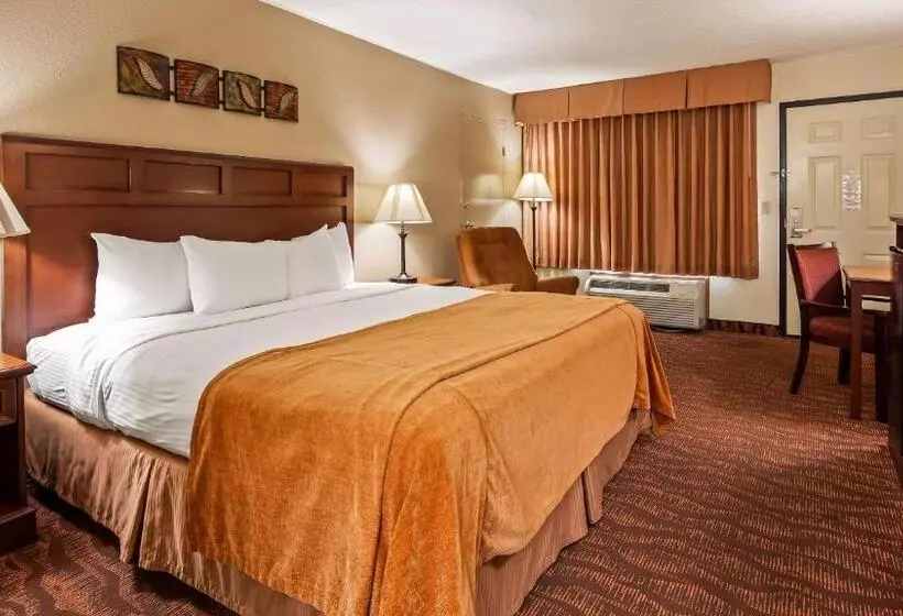 اتاق استاندارد با تخت بزرگ, Best Western Center Pointe Inn