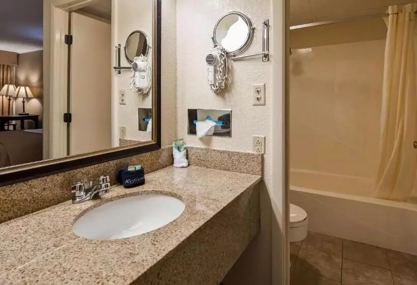 اتاق استاندارد با تخت بزرگ, Best Western Center Pointe Inn