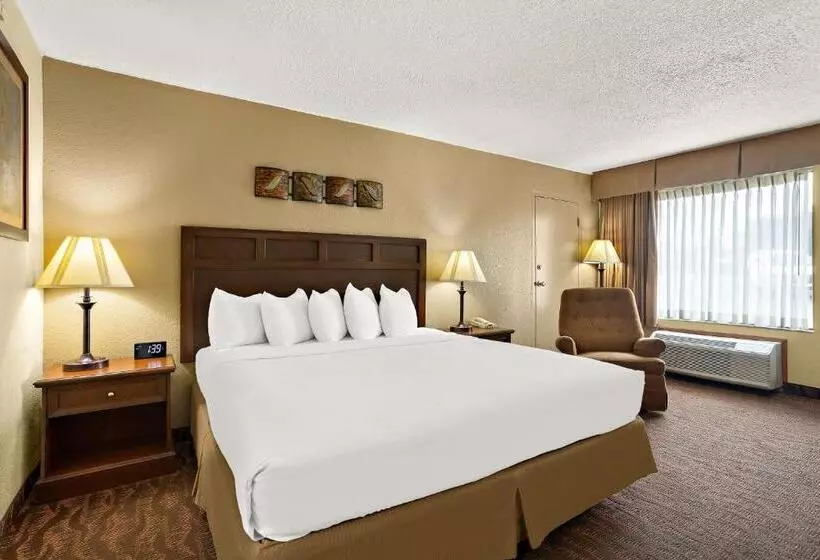 سوئیت با تخت بزرگ, Best Western Center Pointe Inn