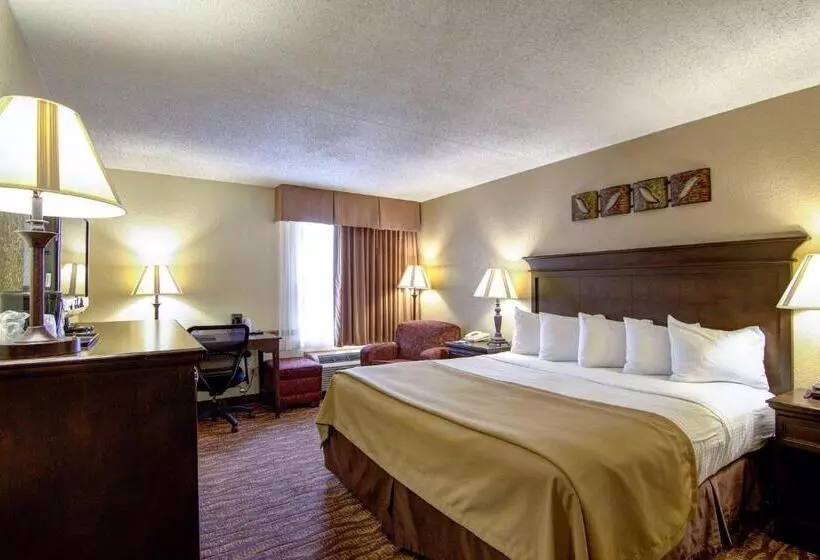 اتاق استاندارد با تخت بزرگ برای معلولان, Best Western Center Pointe Inn